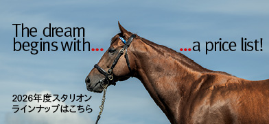 ダーレー・ジャパン
